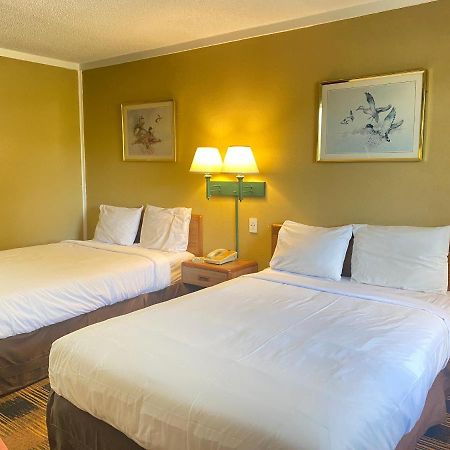 كوداك Smokies Inn - New Linens & Ultrafast Wifi - Friendliest Hospitality Guaranteed! المظهر الخارجي الصورة